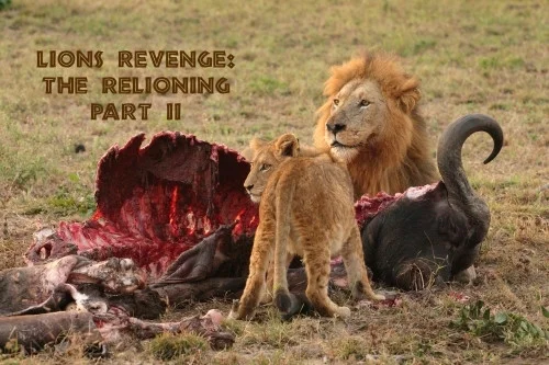 Lions' Revenge: The Relioning Part II (itch) Lions' Revenge: The Relioning Part II (itch)