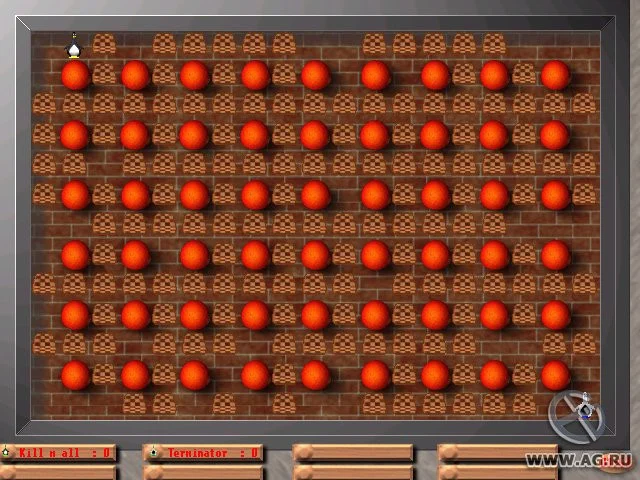Bomber Pingouin Bomber Pingouin