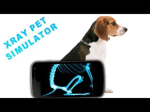 Simulator X-Ray Pet Simulator X-Ray Pet