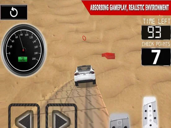 Desert Car Rally Stunts