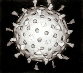 Статьи по Spreading Virus (itch)