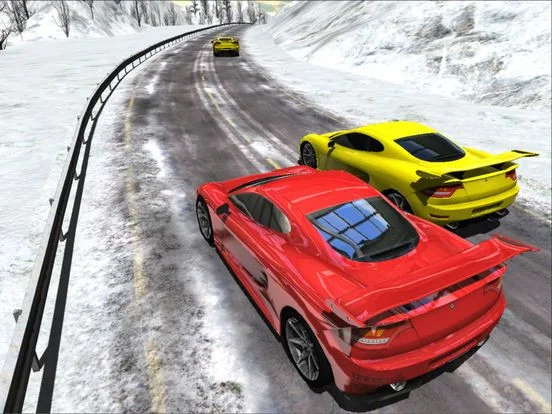 Sports Cars Racing Winter