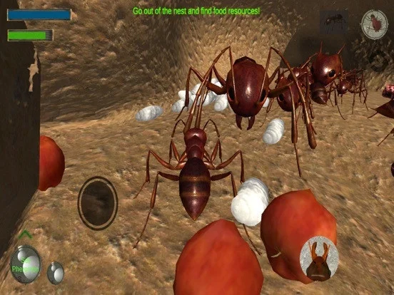 Ant Simulation 3D Full Ant Simulation 3D Full