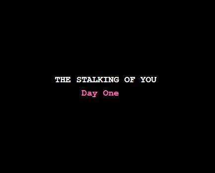 The Stalking of You (itch) The Stalking of You (itch)