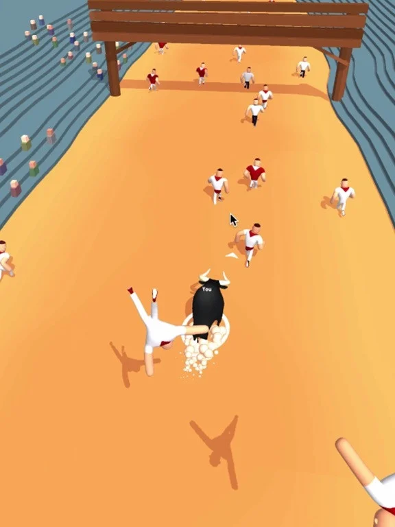 Bull Race Bull Race