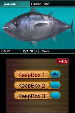 Reel Fishing 3D Paradise Reel Fishing 3D Paradise
