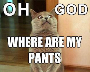 No Pants (itch) No Pants (itch)