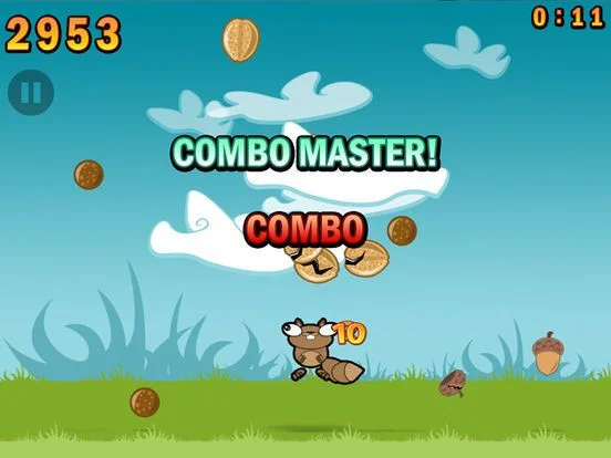 Noogra Nuts Noogra Nuts