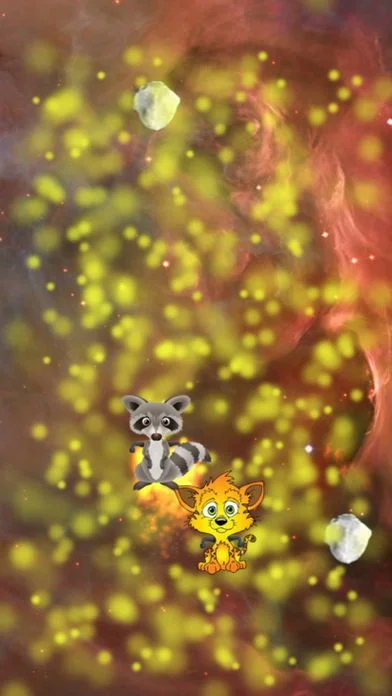 Cat vs Raccoon Cat vs Raccoon