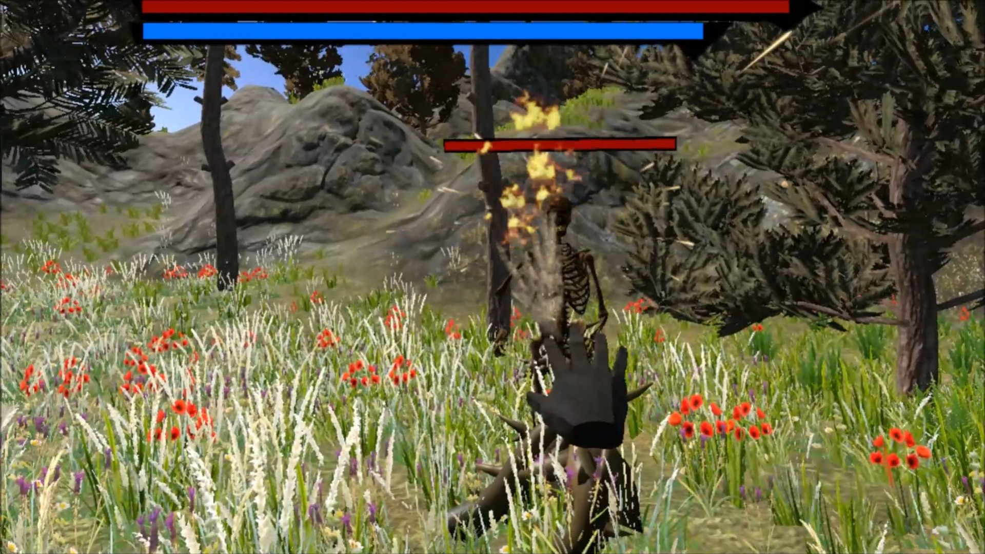 Draconic Order VR Draconic Order VR