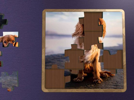 Super Jigsaws Dogs Super Jigsaws Dogs