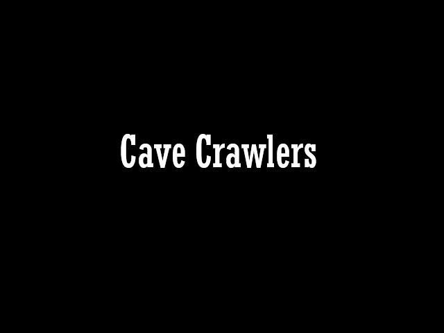 Cave Crawlers (itch) Cave Crawlers (itch)