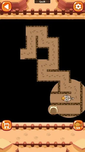 Maze Cat - Rookie
