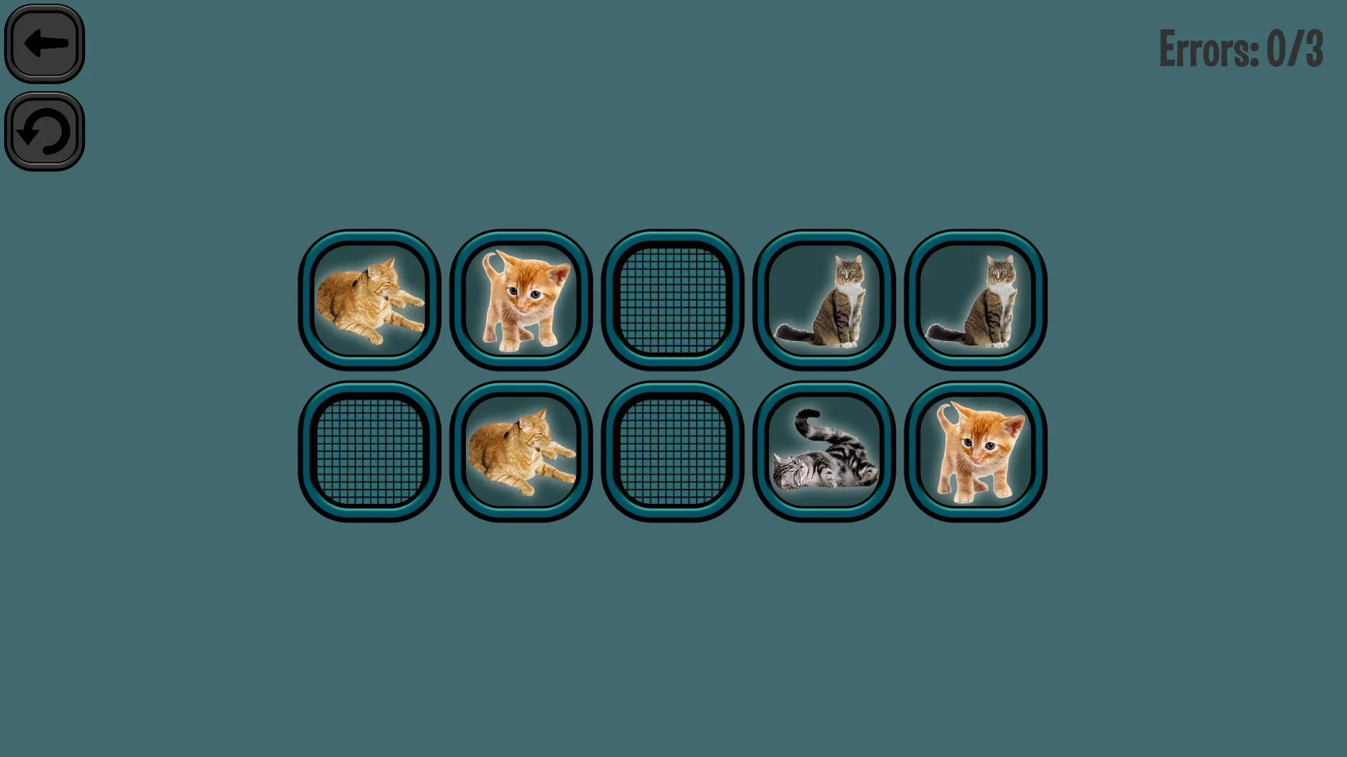 Animals Memory: Cats