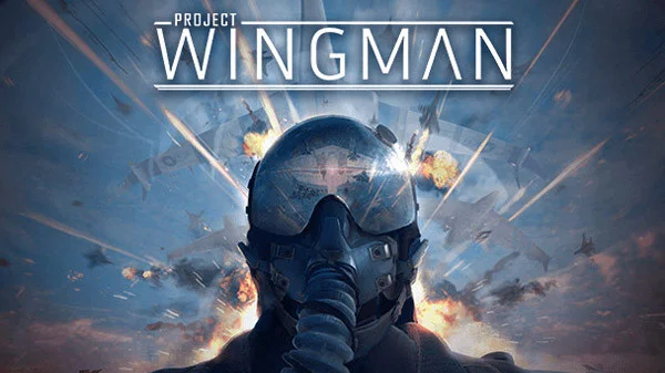 Project Wingman