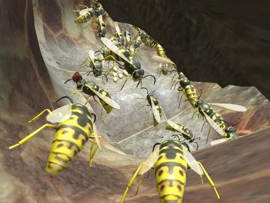 Wasp Nest Simulator 3D Wasp Nest Simulator 3D