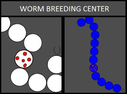 Worm breeding center (itch) Worm breeding center (itch)
