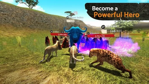 The Cheetah The Cheetah