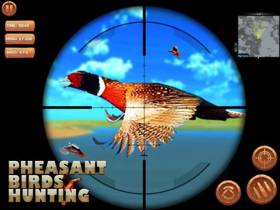 Pheasant Bird Hunting 3d