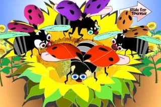 Wild Tunes Lite Wild Tunes Lite