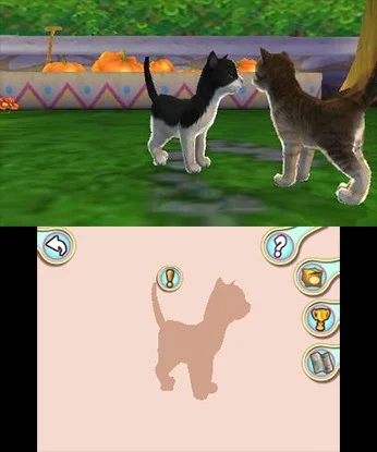 I Love My Cats I Love My Cats