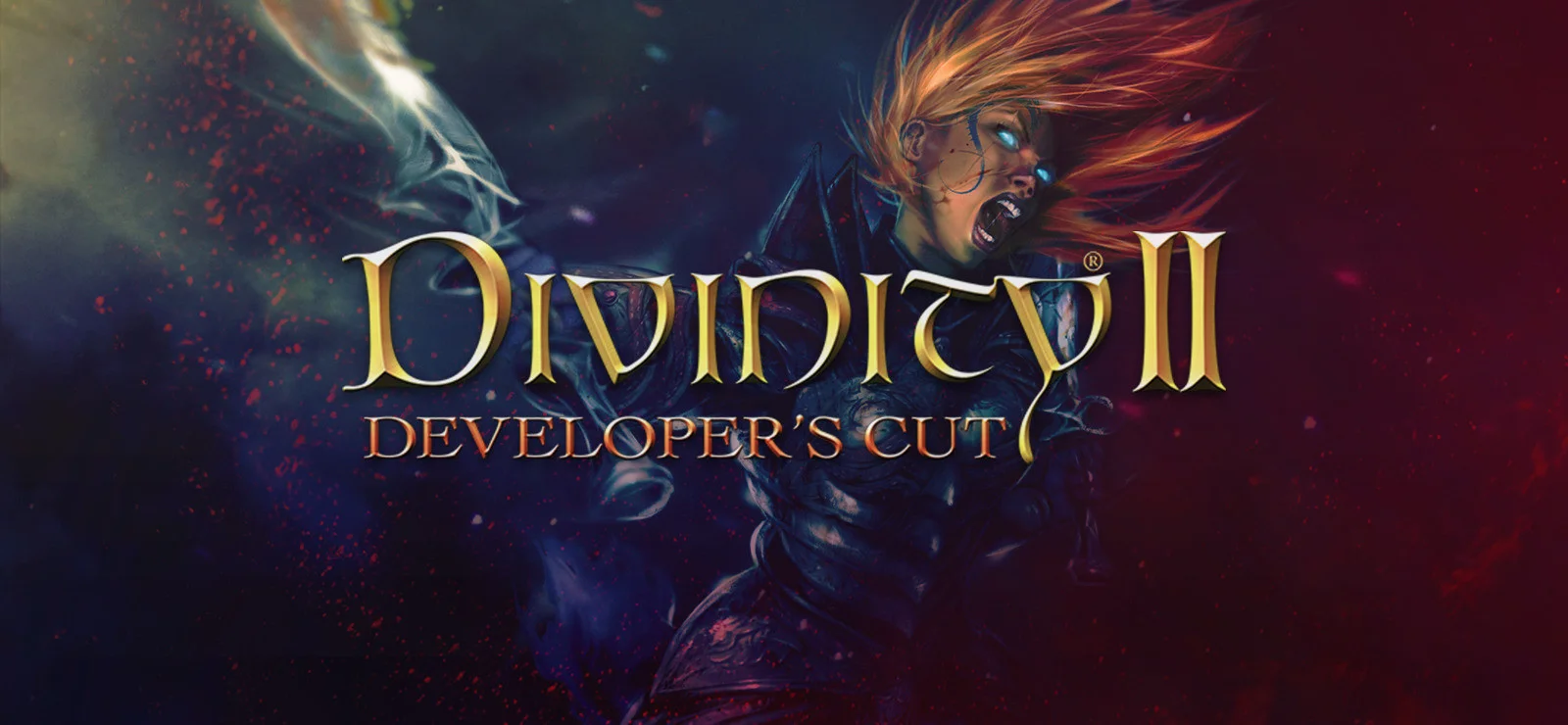 Divinity II: Developer's Cut Divinity II: Developer's Cut