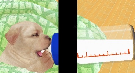 Petz Nursery