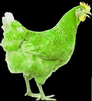 Slime Chicken (itch) Slime Chicken (itch)