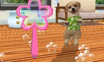 Petz Beach Petz Beach