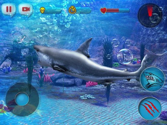Angry Shark 2016 Angry Shark 2016