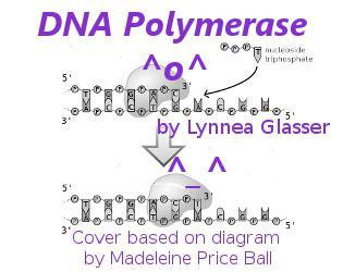 DNA Polymerase (itch) DNA Polymerase (itch)