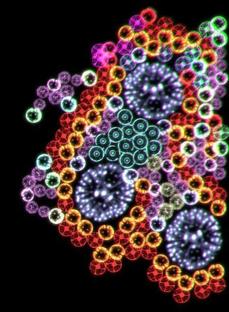 Microarium (itch) Microarium (itch)
