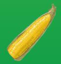 Рецензии Farm (itch)