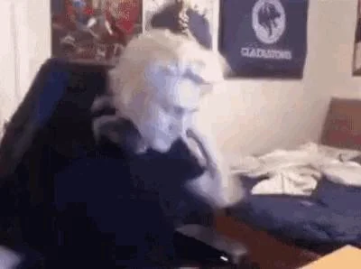 xqcSmash!!!! (itch)