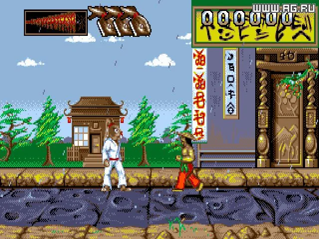 International Ninja Rabbit International Ninja Rabbit