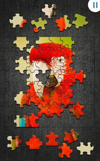 Jigty Jigsaw Puzzles Jigty Jigsaw Puzzles