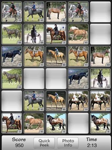 Статьи по Horses Match Memory Game: Pair Up Horse Photos