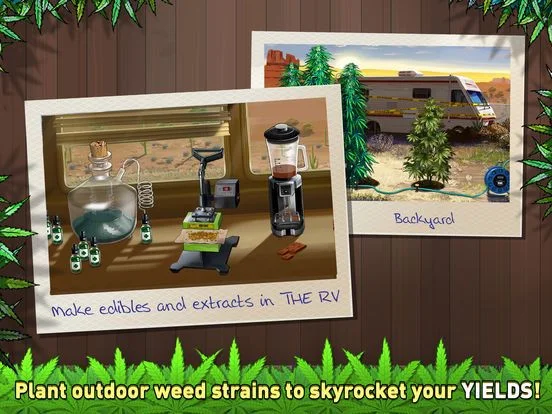 Weed Firm 2: Back To College Weed Firm 2: Back To College