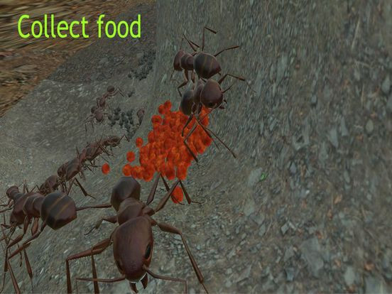 Ant Simulation 3D Ant Simulation 3D