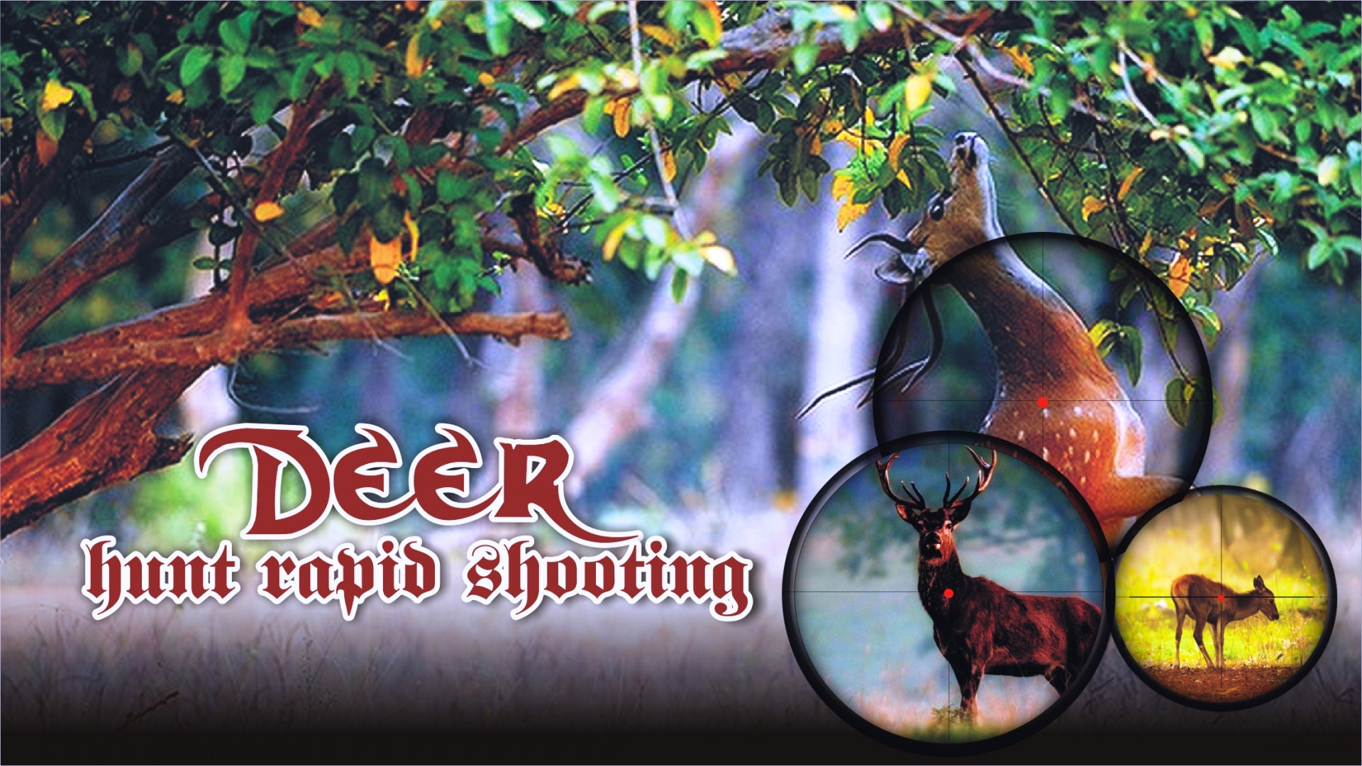 Deer Hunter Rapid Shooting (itch)