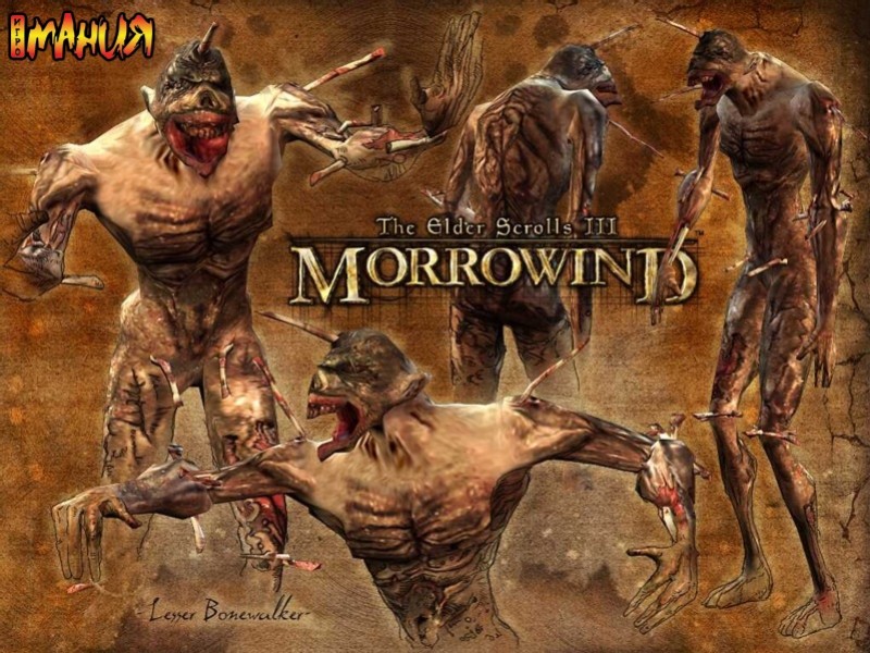 Morrowind