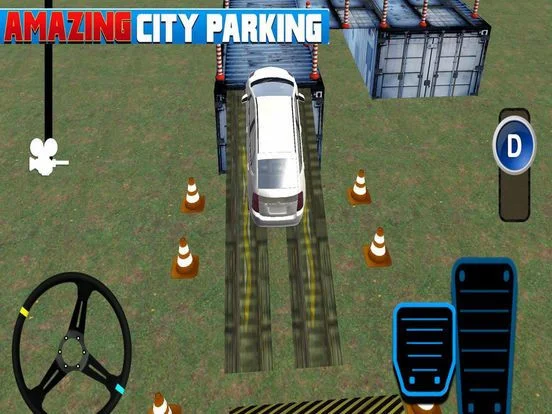 Amazing Parking City Amazing Parking City