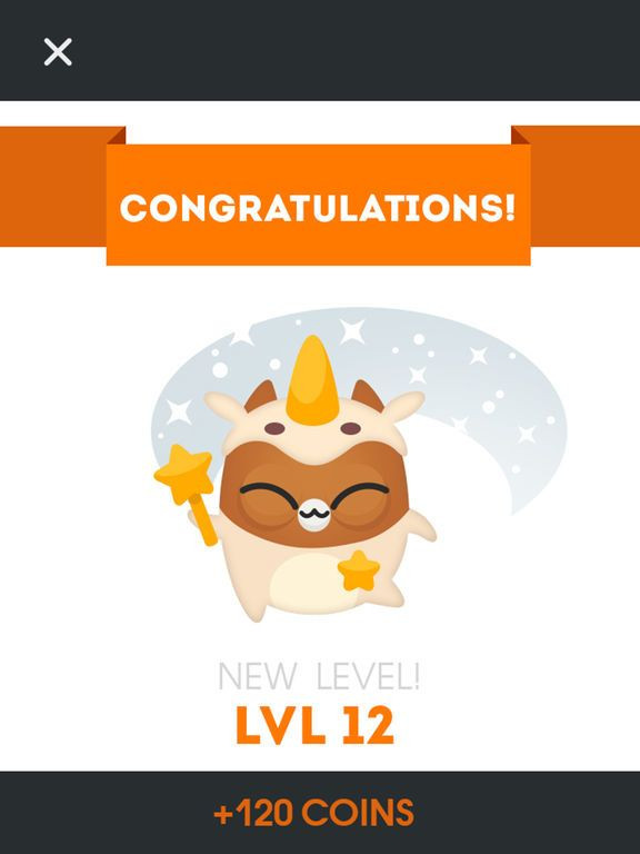 Cats GO! Cats GO!