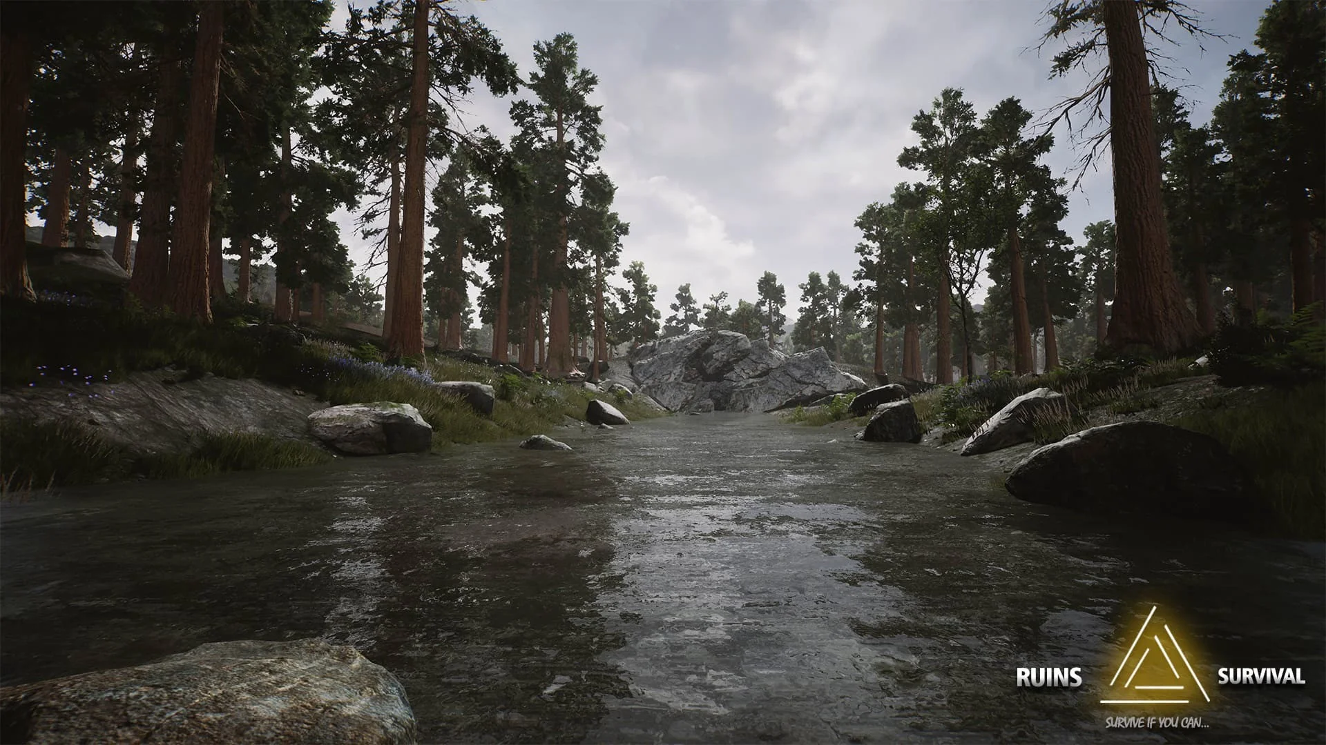 RUINS Survival RUINS Survival