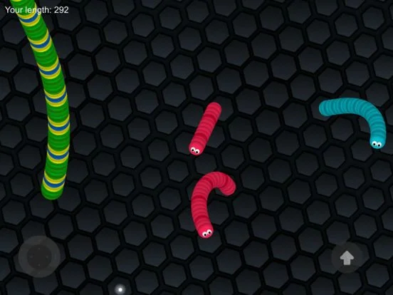 Snake Grow Snake Grow