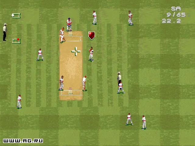 Cricket '96 Cricket '96