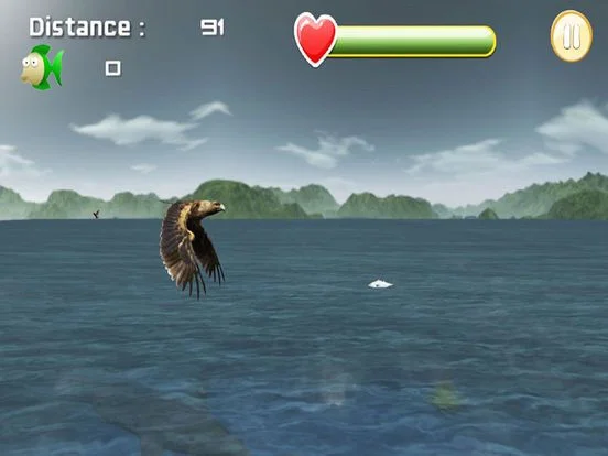 Eagle Fish Hunting Eagle Fish Hunting