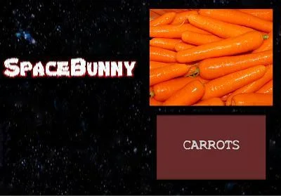 SpaceBunny (alanjpan) (itch) SpaceBunny (alanjpan) (itch)