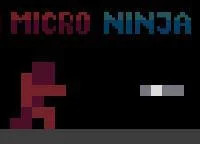 Micro Ninja (itch)