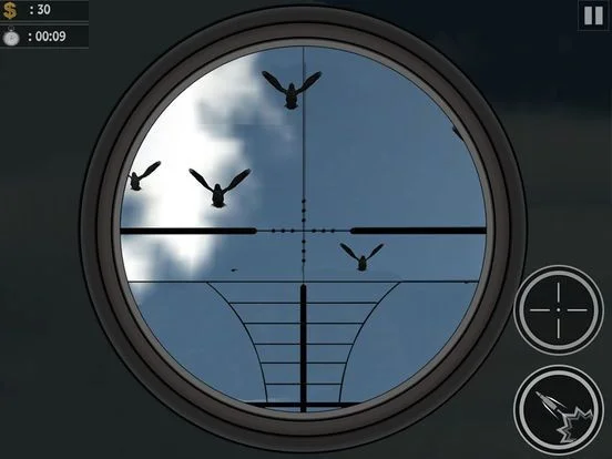 City Crow Hunting: Forest Bird Sniper Shooting Game Free